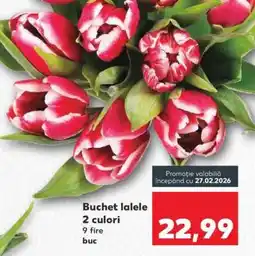 Kaufland Buchet lalele 2 culori Ofertă