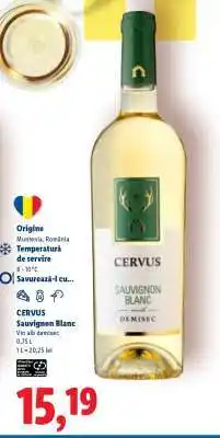 Lidl CERVUS Sauvignon Blanc Ofertă
