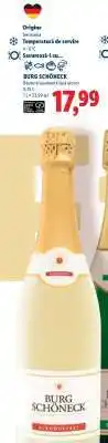 Lidl Burg Schöneck Ofertă