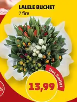 Penny LALELE BUCHET Ofertă