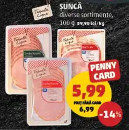 Penny Şuncă Ofertă