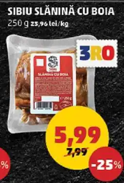 Penny Sibiu Slănină cu Boia Ofertă