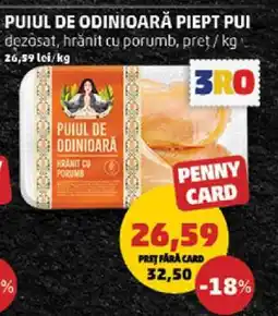 Penny PUIUL DE ODINIOARĂ PIEPT PUI Ofertă