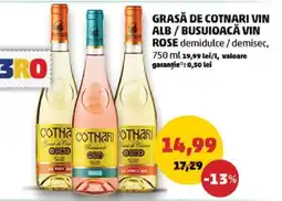 Penny Grasă de Cotnari Vin Alb / Busuioacă Vin Rose Ofertă
