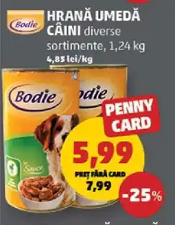 Penny Hrană umedă câini Ofertă