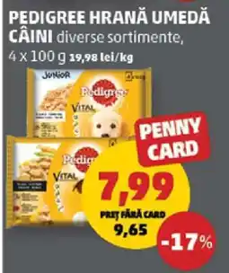 Penny PEDIGREE HRANĂ UMEDĂ CÂINI Ofertă
