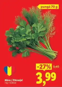 Lidl Mărar / Pătrunjel Ofertă