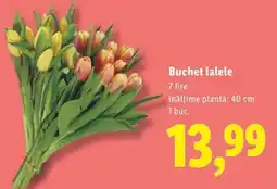 Lidl Buchet lalele Ofertă