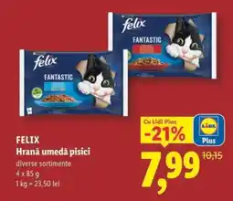 Lidl FELIX HRANĂ UMEDĂ PISICI Ofertă