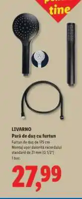 Lidl Livarno Pară de duș, cu furtun Ofertă