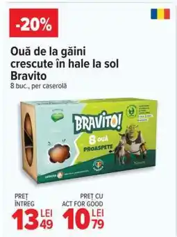 Carrefour Ouă de la găini crescute în hale la sol Bravito Ofertă
