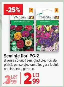 Carrefour Semințe flori PG-2 Ofertă