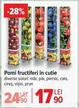 Carrefour Pomi fructiferi în cutie Ofertă