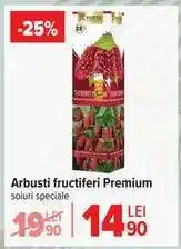 Carrefour Arbuști fructiferi Premium Ofertă