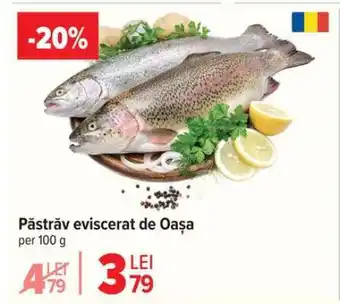Carrefour Păstrăv eviscerat, De Oașa Ofertă