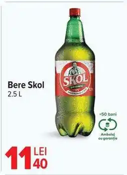 Carrefour Bere Skol Ofertă