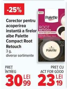 Carrefour Corector pentru acoperirea instantă a firelor albe Palette Compact Root Retouch Ofertă