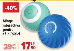 Carrefour Minge interactivă pentru câini/pisici Ofertă