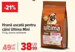 Carrefour Hrană uscată pentru câini Ultima Mini Ofertă