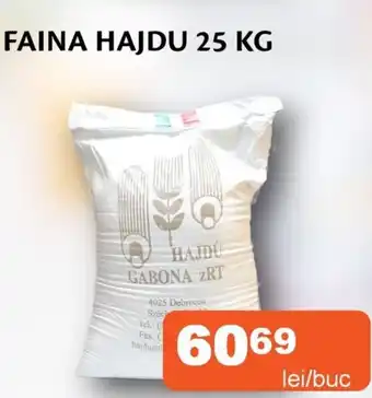 Faina hajdu