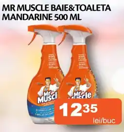 Unicarm Mr muscle baie&toaleta mandarine Ofertă