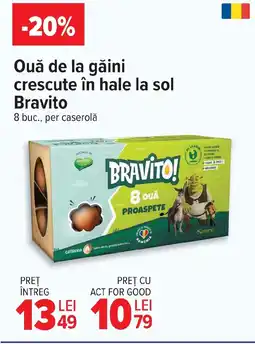 Carrefour Market Ouă de la găini crescute în hale la sol Bravito Ofertă