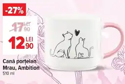 Carrefour Market Cană porţelan Mrau, Ambition Ofertă