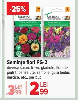 Carrefour Market Seminte flori PG-2 Ofertă
