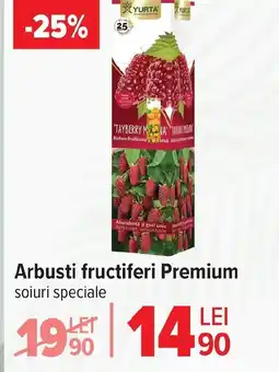 Carrefour Market Arbusti fructiferi Premium Ofertă