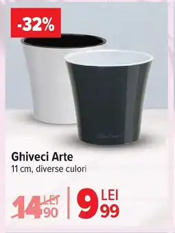 Carrefour Market Ghiveci Arte Ofertă