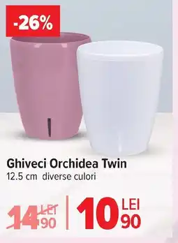 Carrefour Market Ghiveci Orchidea Twin Ofertă