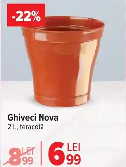 Carrefour Market Ghiveci Nova Ofertă