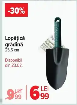 Carrefour Market Lopǎțică grădină Ofertă