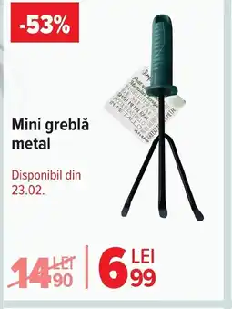 Carrefour Market Mini greblǎ metal Ofertă