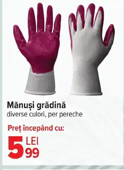 Carrefour Market Mănuşi grădină Ofertă