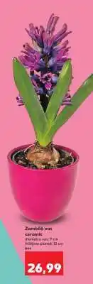 Kaufland Zambilă vas ceramic Ofertă