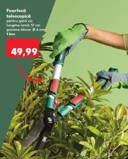 Kaufland Foarfecă telescopică Ofertă