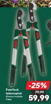 Kaufland Foarfecă telescopică Ofertă