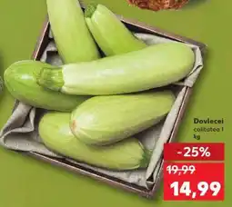 Kaufland Dovlecei Ofertă