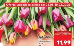 Kaufland Buchet lalele Ofertă