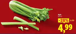 Lidl Apio Ofertă