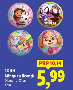 Lidl JOHN Minge cu licenţă Ofertă