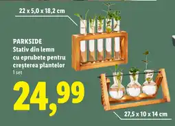 Lidl PARKSIDE Stativ din lemn cu eprubete pentru creşterea plantelor Ofertă