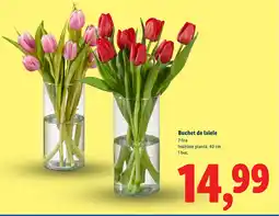 Lidl Buchet de lalele Ofertă