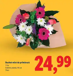 Lidl Buchet mixt de primăvară Ofertă