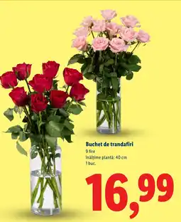 Lidl Buchet de trandafiri Ofertă