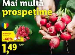 Lidl Ridichi roșii Ofertă