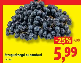 Lidl Struguri negri cu sâmburi Ofertă
