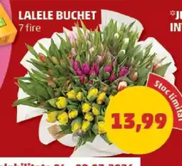 Penny LALELE BUCHET Ofertă