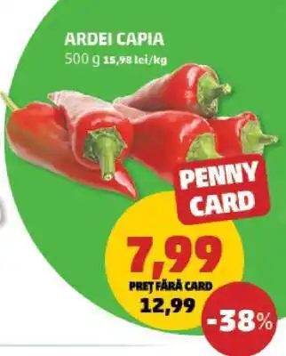 Penny Ardei capia Ofertă